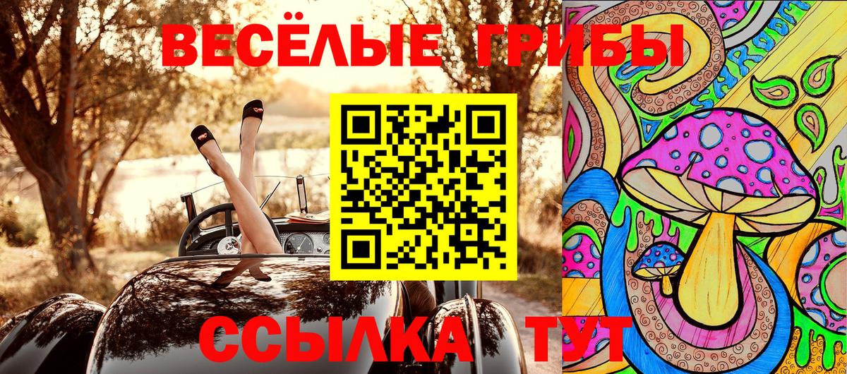 Псилоцибиновые грибы Psilocybe Альметьевск